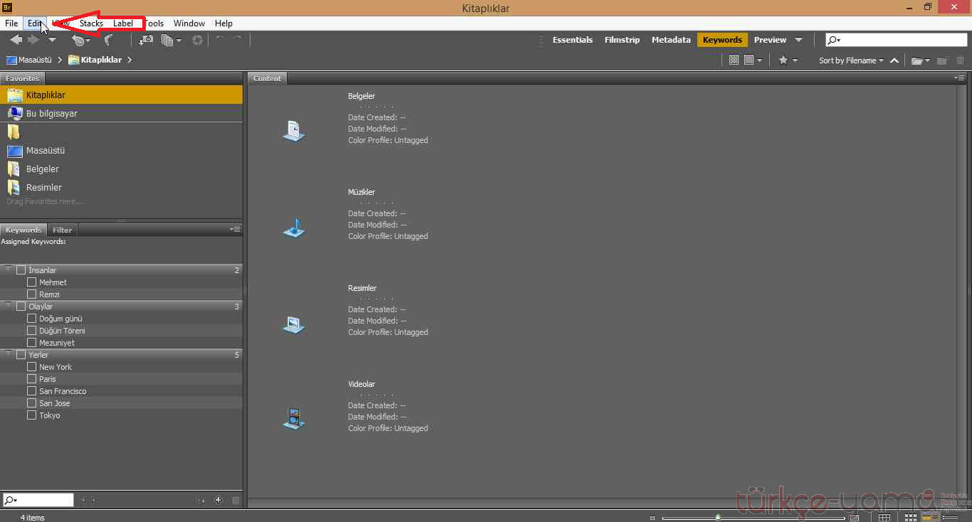 Adobe Bridge CC Türkçe yama 1. ekran görüntüsü
