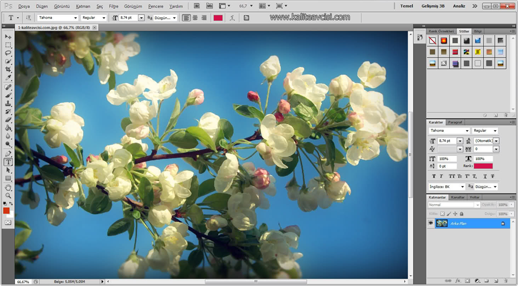 Adobe Photoshop CS5 Türkçe yama 1. ekran görüntüsü