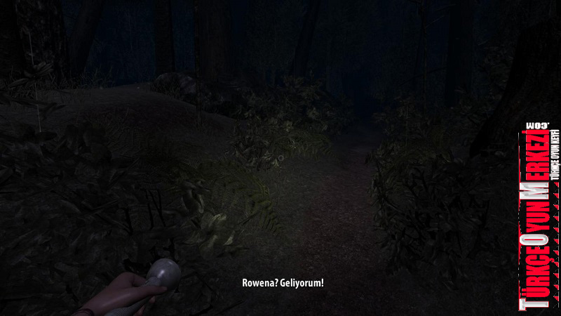 The Ritual on Weylyn Island Türkçe yama 2. ekran görüntüsü